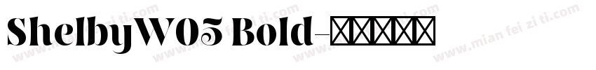 ShelbyW05 Bold字体转换